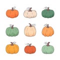 Colorful pumpkins set fall design. Vector line illustration on white background Royalty Free Stock Photo