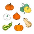 Set of colorful cute pumpkins and squashes. Hand drawn illustration vector. Royalty Free Stock Photo