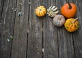 Colorful pumpkins on wooden background