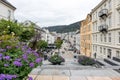 Colorful purple flowers, streets of Bergen, Norway