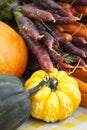 Colorful purple, orange and yellow carrots and squash display of