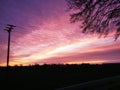 Colorful Purple sunset in the evening with silhouettes of trees and a harmony mood with idyllic panoramic