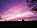 Colorful Purple sunset in the evening with silhouettes of trees and a harmony mood with idyllic panoramic