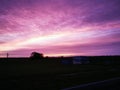 Colorful Purple sunset in the evening with silhouettes of trees and a harmony mood with idyllic panoramic