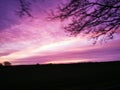 Colorful Purple sunset in the evening with silhouettes of trees and a harmony mood with idyllic panoramic