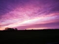 Colorful Purple sunset in the evening with silhouettes of trees and a harmony mood with idyllic panoramic