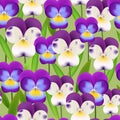 Colorful purple white flowers, pansy hand drawn botanical illustration vector seamless green background