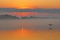 Sunrise in the Danube Delta,Murighiol,Romania Royalty Free Stock Photo