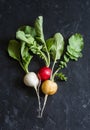 Colorful radishes on a dark background, top view Royalty Free Stock Photo