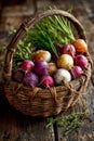 Colorful Radishes and Onions in Rustic Basket Royalty Free Stock Photo