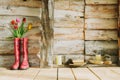 Colorful rain boots with spring flowers,candles , stones and boo