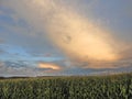 Colorful rain clouds over NYS cornfield Royalty Free Stock Photo