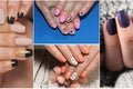 Colorful rainbow collection of nail designs for summer and winte Royalty Free Stock Photo