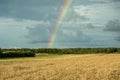 Colorful rainbow on a dark sky over the forest and fields Royalty Free Stock Photo