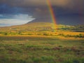 Colorful rainbow in a green field, Dramatic sky, Connemara loop, Ireland Royalty Free Stock Photo