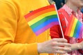 Colorful Rainbow Flag Pride Tolerance Rainbow Equality Rights