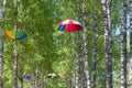Colorful rainbow umbrellas adorn the alley in the park, a symbol of LGBT people Royalty Free Stock Photo