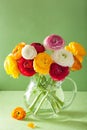 Colorful ranunculus flowers in vase over green background Royalty Free Stock Photo