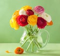 Colorful ranunculus flowers in vase over green background Royalty Free Stock Photo