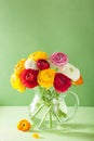 Colorful ranunculus flowers in vase over green background Royalty Free Stock Photo