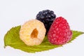 Colorful rasberries on green leaf on white background close up Royalty Free Stock Photo