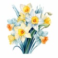Colorful Realism: Handmade Daffodil Arrangement Watercolor Clipart Royalty Free Stock Photo