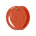 Colorful red apple icon illustration. Idea for paper, covers, templates, summer holidays, natural fruit themes. Isolated Royalty Free Stock Photo