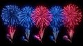 Colorful red and blue fireworks exploding in night sky celebration Royalty Free Stock Photo