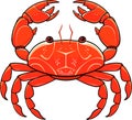 Colorful red crab vector. Sea creature shell crab icon isolated on white background Royalty Free Stock Photo