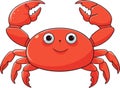 Colorful red crab vector. Sea creature shell crab icon isolated on white background Royalty Free Stock Photo