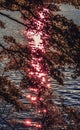 Colorful Red Lake Ashiniko Water Reflection Abstract Hakone Kanagawa Japan Royalty Free Stock Photo