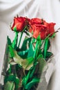 Colorful red roses bouquet flowers romanric  valentines day holiday gift Royalty Free Stock Photo