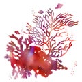 Colorful red watercolor coral reef scenery clip art.