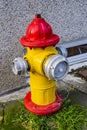 Colorful Red Yellow Fire Hydrant Street Reykjavik Iceland Royalty Free Stock Photo