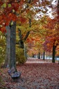 Colorful red and yellow foliage trees in garden during autumn at Wilhelm KÃÂ¼lz Park in city of Leipzig, Germany