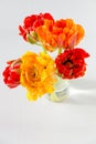 Colorful red and yellow tulips bouquet in vase on table Royalty Free Stock Photo