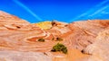 The colorful red, yellow and white banded sandstone rock formations along the Fire Wave Trail in the Valley of Fire State Park Royalty Free Stock Photo