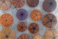 Colorful reddish sea urchins collection on wet white marble, top view closeup. Royalty Free Stock Photo