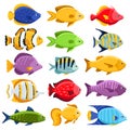 Colorful reef tropical fish set