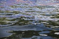 Colorful reflections on the water surface of a river creating an organic design