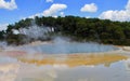 COLORFUL AND REFLECTIVE ARTISTS PALETTE GEOTHERMAL POOL, NEW ZEALAND