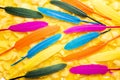 Colorful remiges feathers