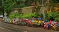 Colorful rental cycles waiting for tour riders on the hill kodaikanal.