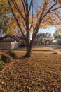 Colorful residential area in fall season near Dallas, Texas Royalty Free Stock Photo