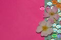 colorful retro pastel wallpaper with color-reflecting glass beads and two flower heads next to pink backgrounds Royalty Free Stock Photo