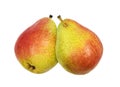 Colorful ripe pears