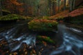 Colorful river bank under fall trees at mountain river Royalty Free Stock Photo