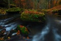 Colorful river bank under fall trees at mountain river Royalty Free Stock Photo