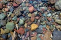 Colorful river rocks in Montana