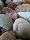 Colorful river stone